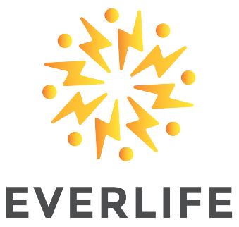 Everlife Battery
